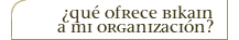 �QU� OFRECE BIKAIN A MI ORGANIZACI�N?